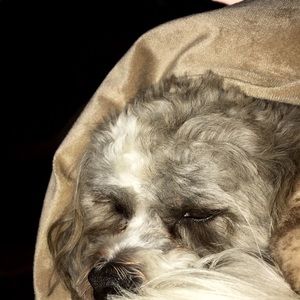 Meet your Posher, Kylie